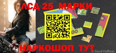 гашик Камышлов