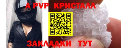 гашик Камышлов
